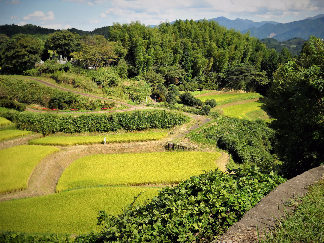 Hike n See Fukuoka and Kysuhu-福冈市必去景点