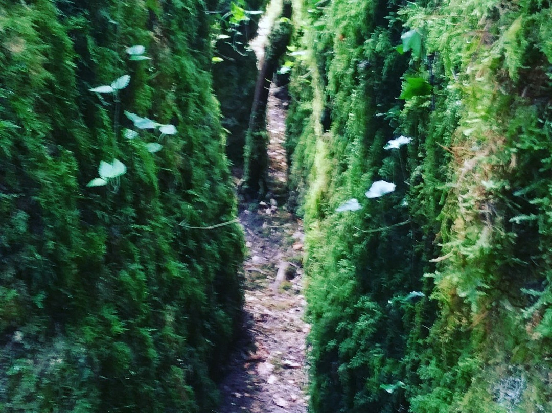 Nebias旅游攻略图片