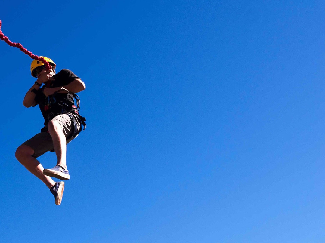 The Beanstalk Journey Zipline-Morganton必去景点