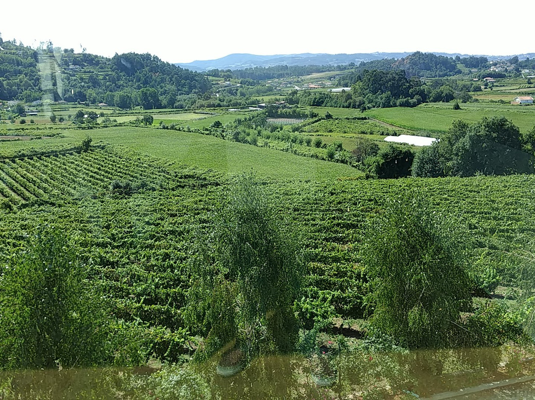 Quinta Da Lixa景点图片