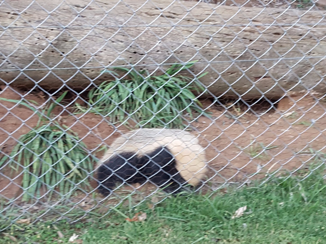 Loebies Gasteplaas-贝拉贝拉必去景点