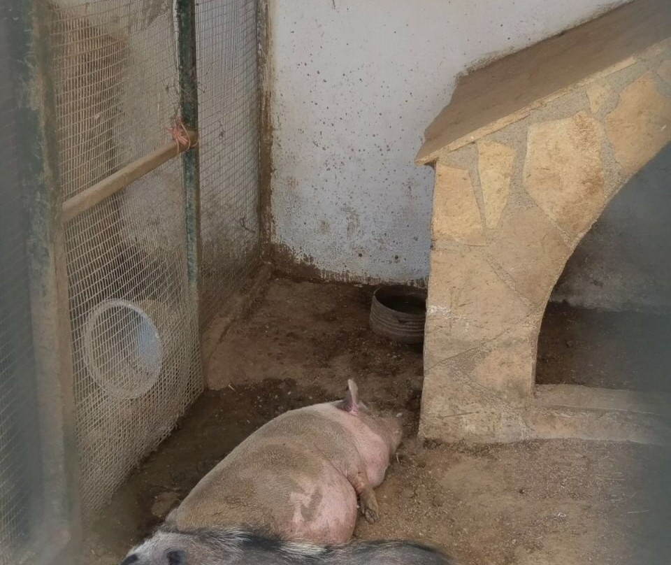 Ippokamilos-Sageika必去景点