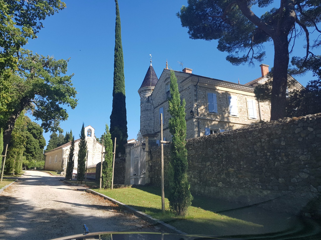 Chateau Bizard景点图片