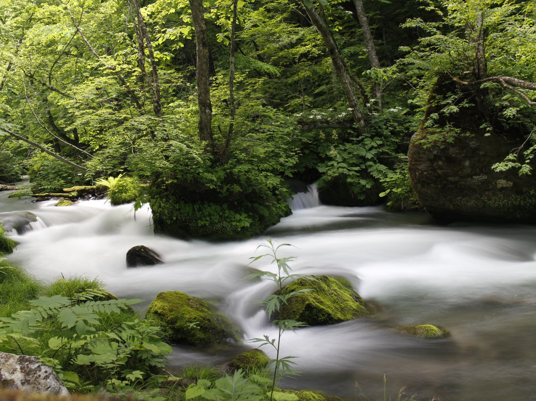 奥入濑溪-十和田市必去景点