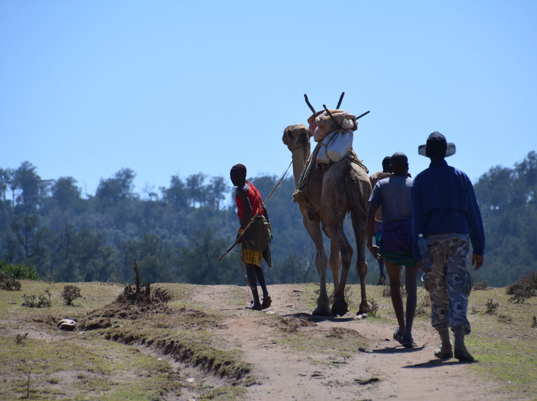Turkana Safaris-Maralal必去景点