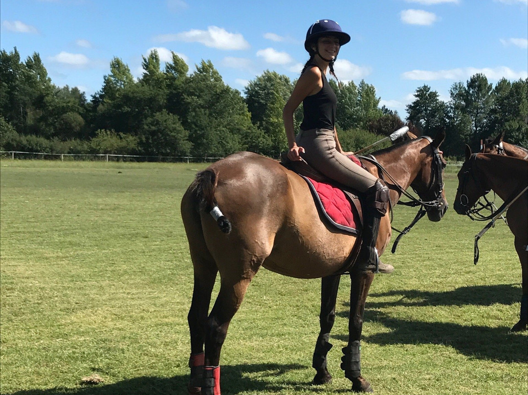 Medoc Polo Club景点图片