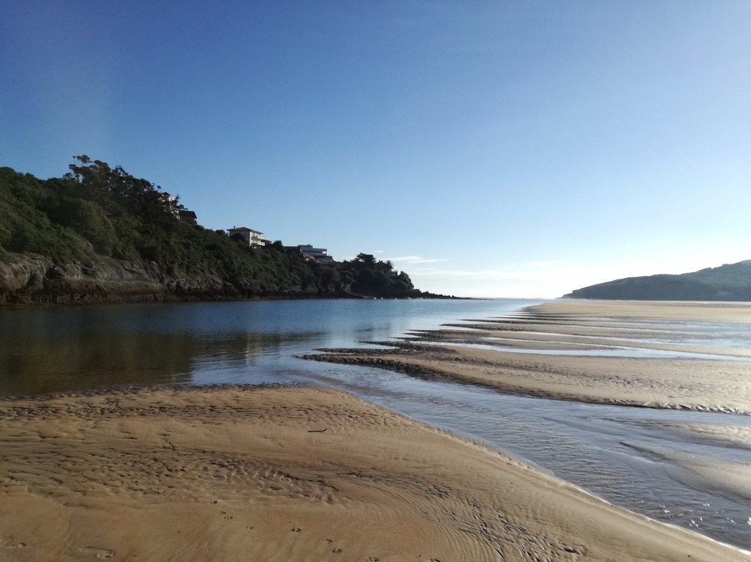 Playa de La Arena景点图片