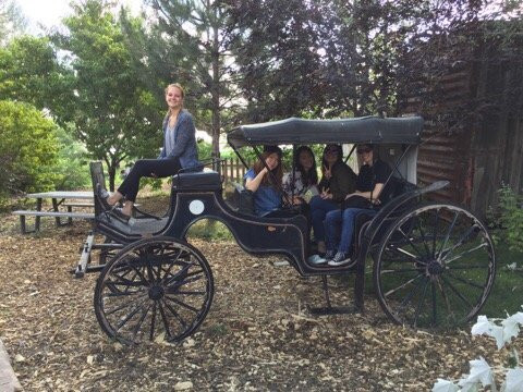 Sunflower Farm-朗蒙特必去景点