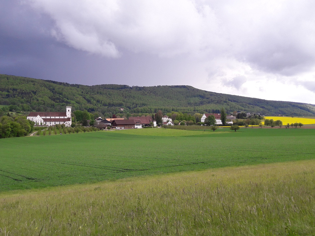null-Metzerlen-Mariastein