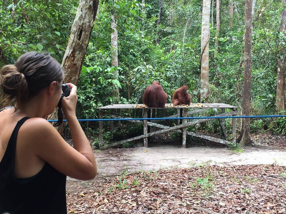 Orangutan tour - Varada Borneo-Pangkalan Bun必去景点