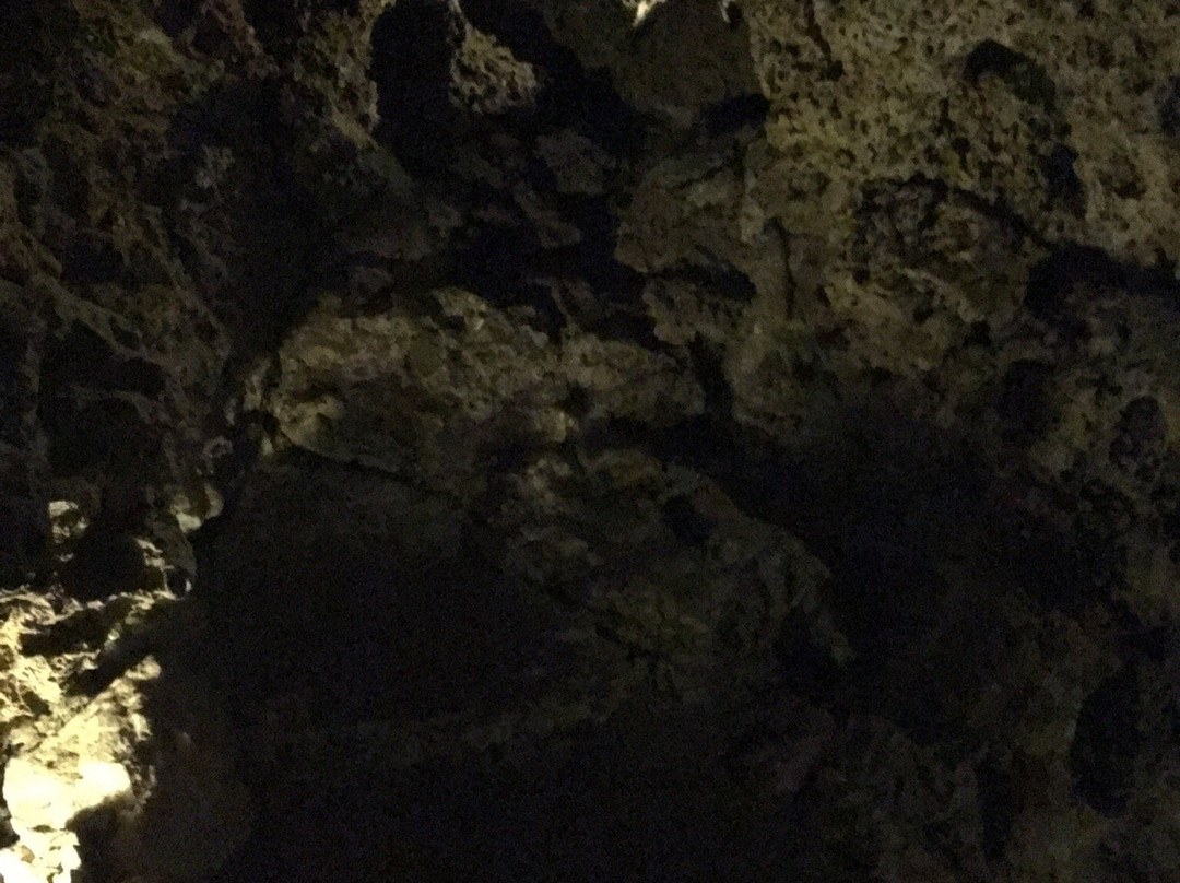 Altensteiner Höhle-Bad Liebenstein必去景点