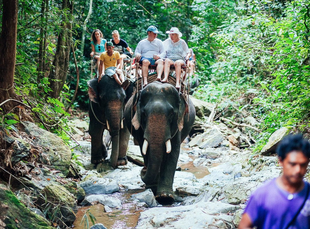 World Ocean Trip-Wichit必去景点
