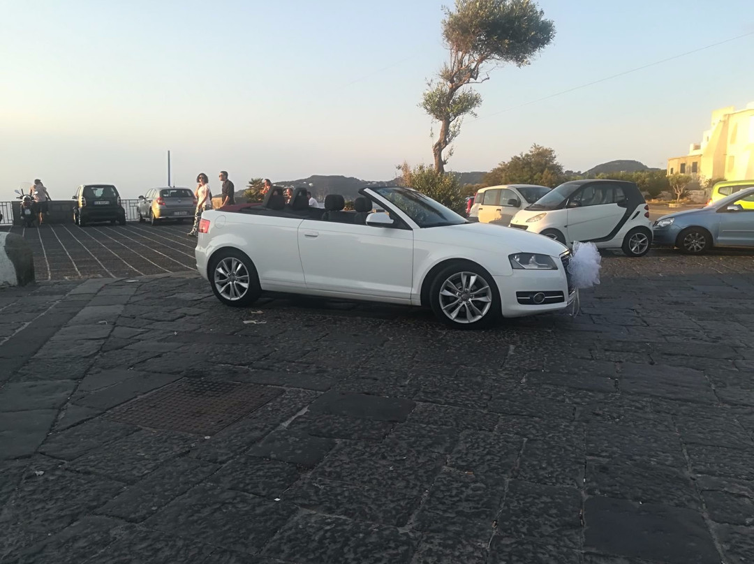 Alexauto景点图片