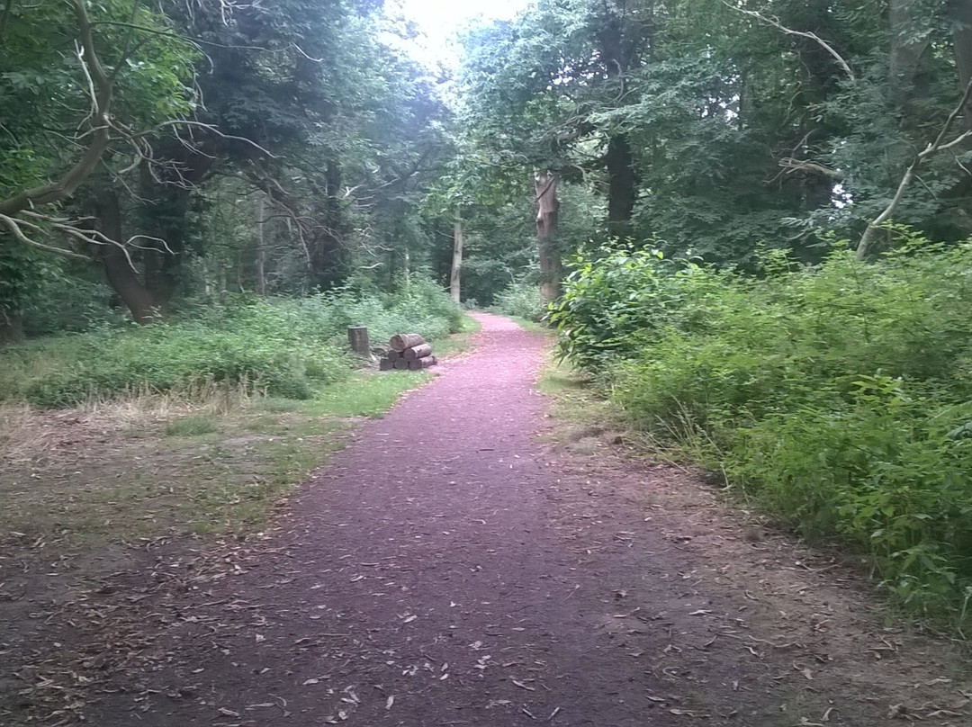 Crackley Wood Nature Reserve景点图片