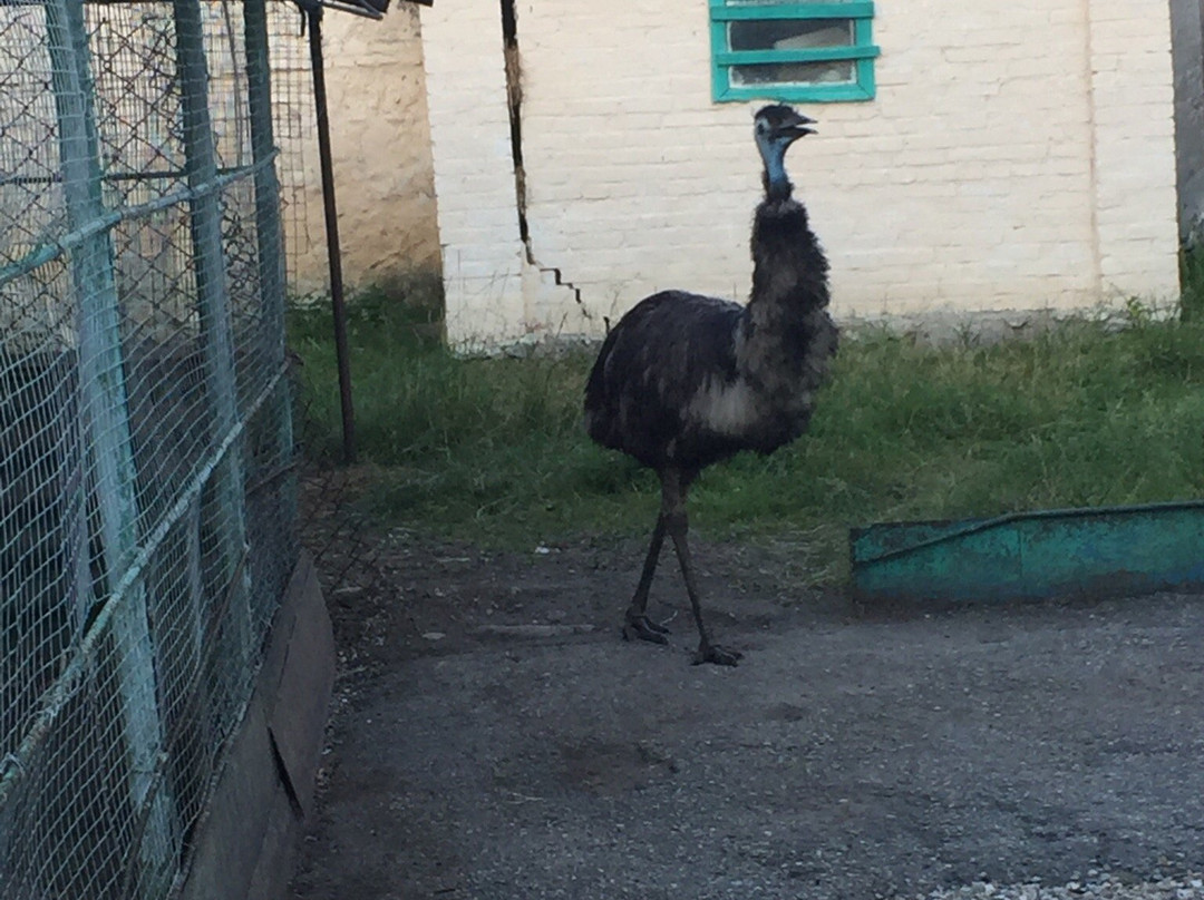 Nalchik Zoo-Nalchik必去景点