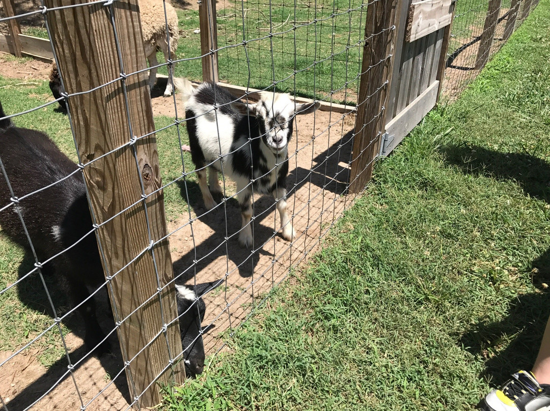 Chesapeake Bay Farms-Pocomoke City必去景点