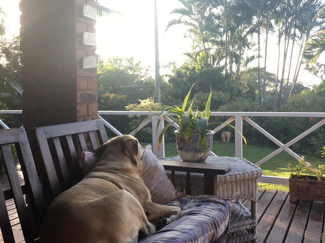 Our Piece of Paradise主图