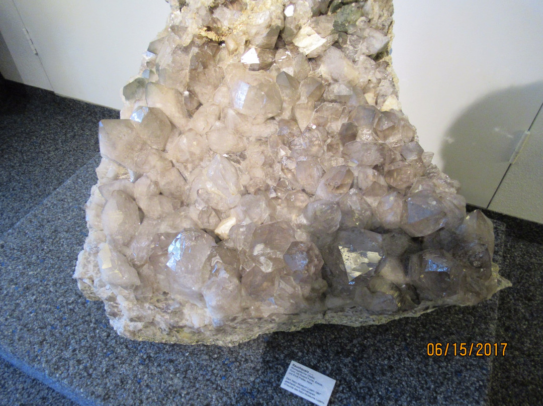 Natur-Museum Luzern-卢塞恩必去景点