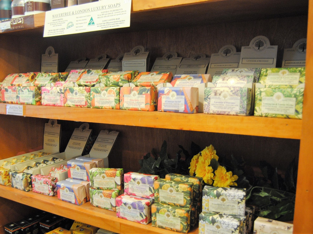 Noni-Mount Dora必去景点