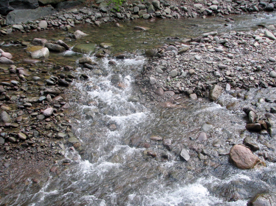 Woodland Valley State Park-Phoenicia必去景点