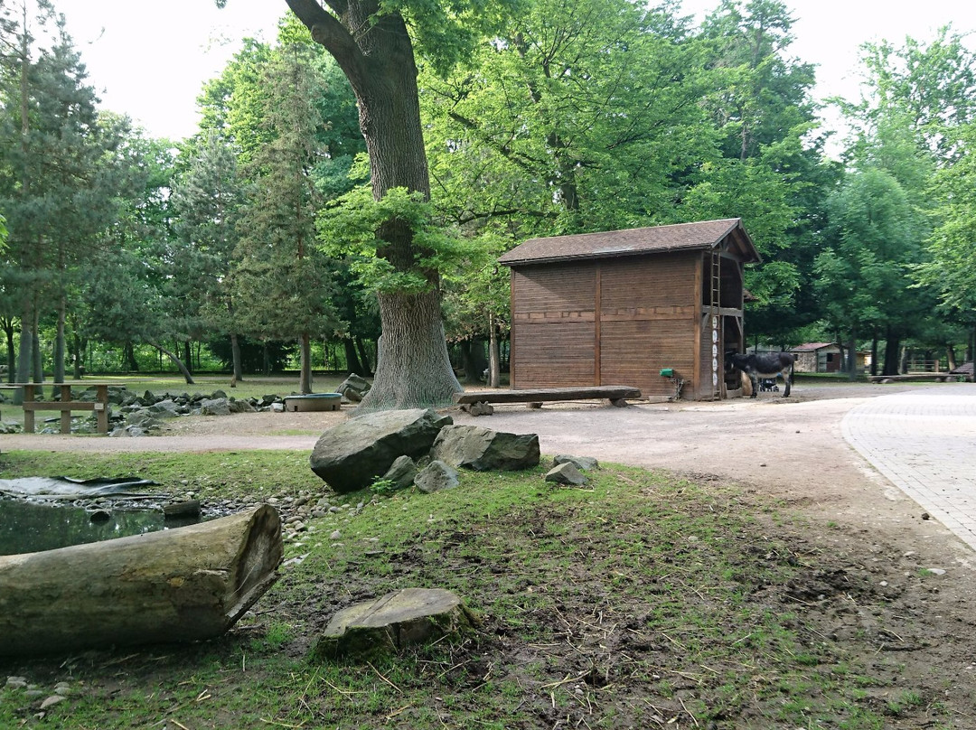 Parc Animalier Friedel景点图片