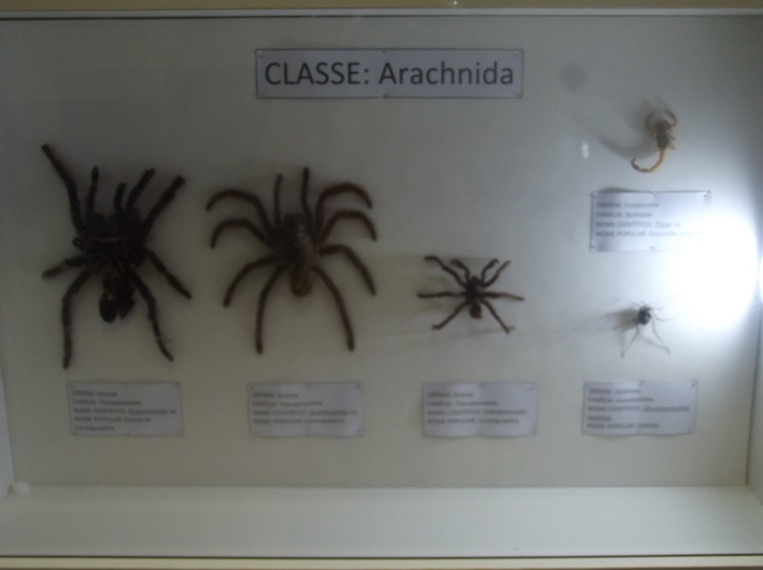 Univates University Museum of Natural Science-Lajeado必去景点