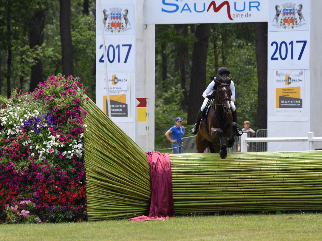 Saumur Complet景点图片