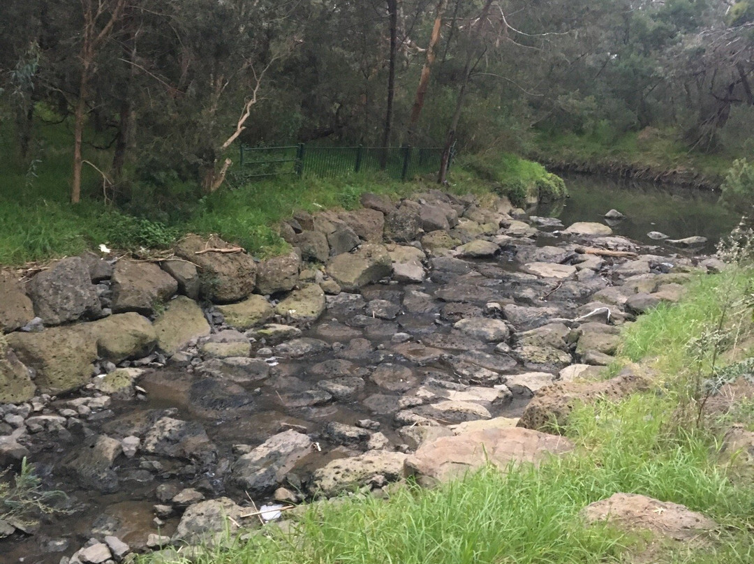 Gardiner Creek Reserve景点图片