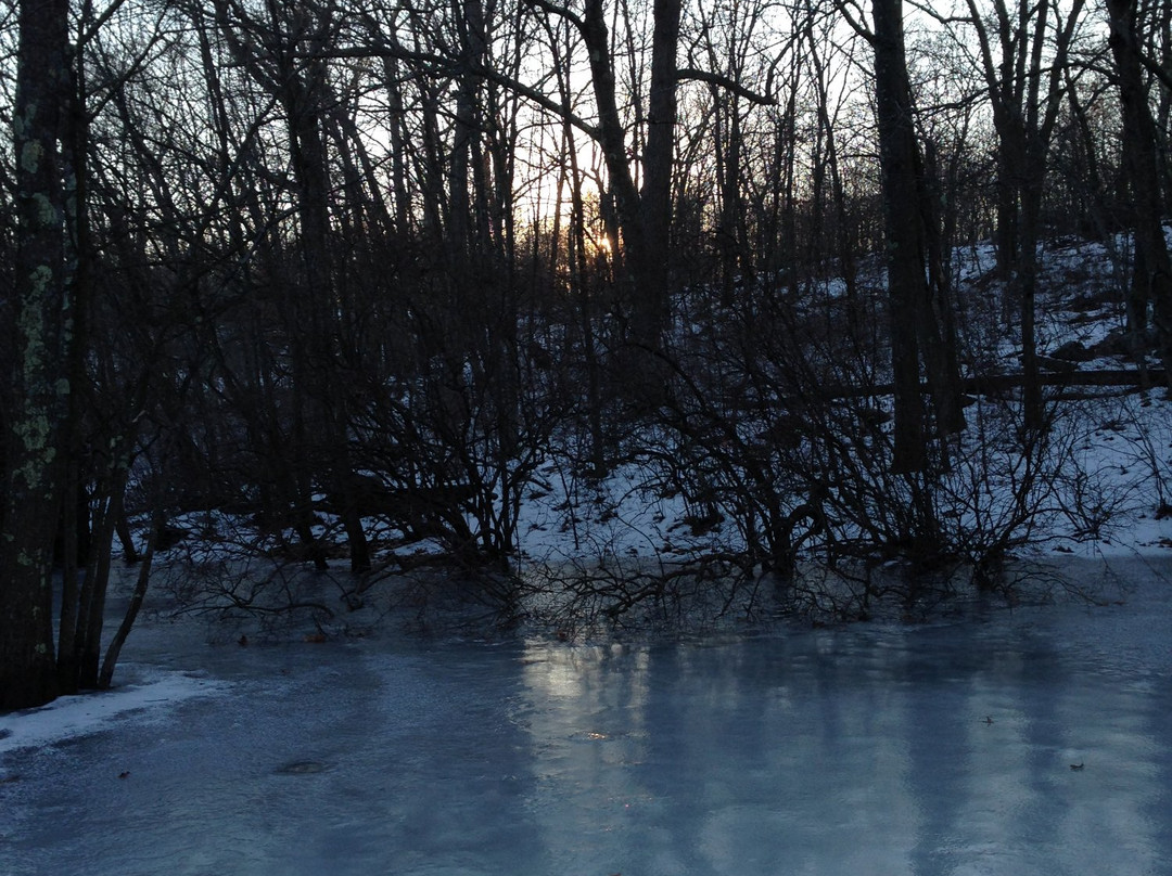 Hammond Pond Reservation景点图片