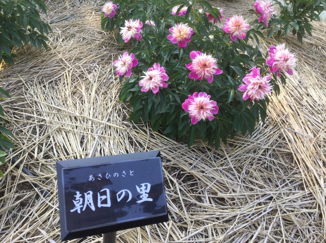 Kyuhojiryokuchi-八尾市必去景点