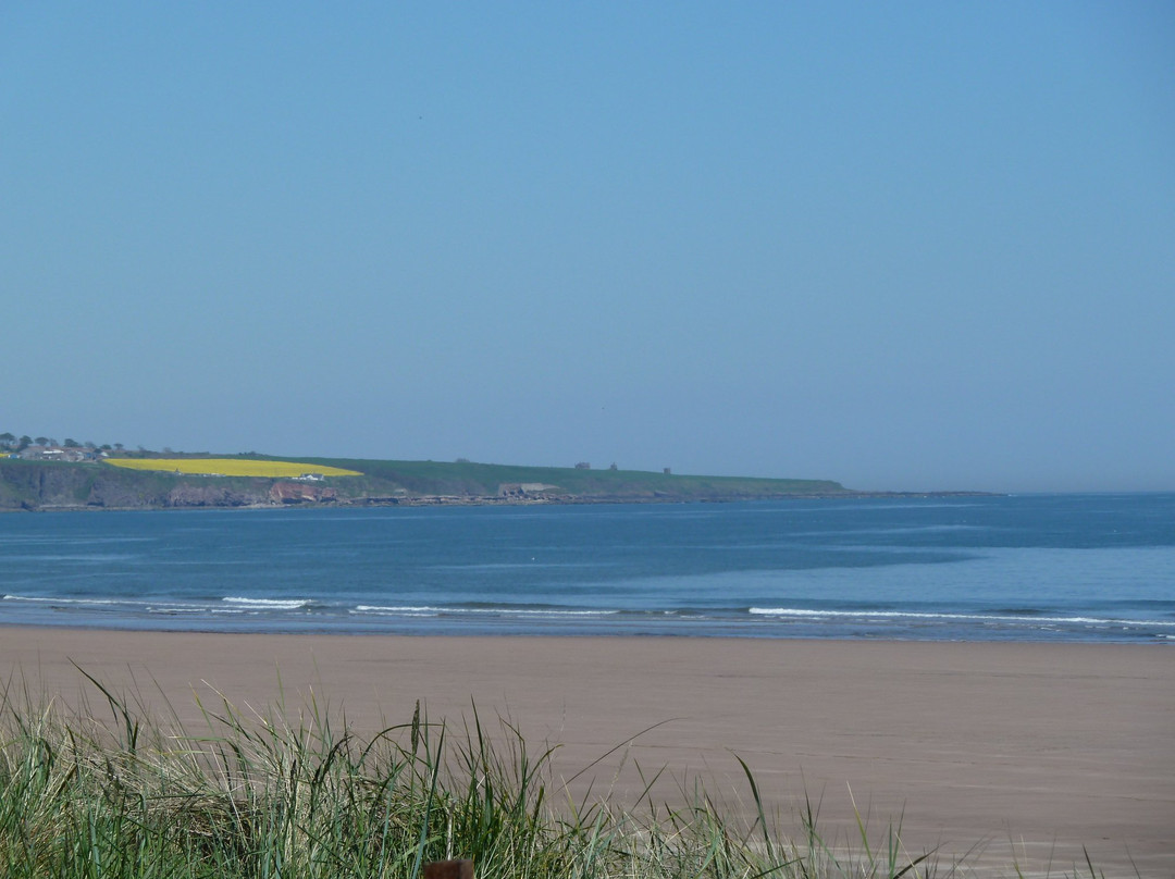 Arbroath酒店住宿-Balnabrechan Lodge B&B