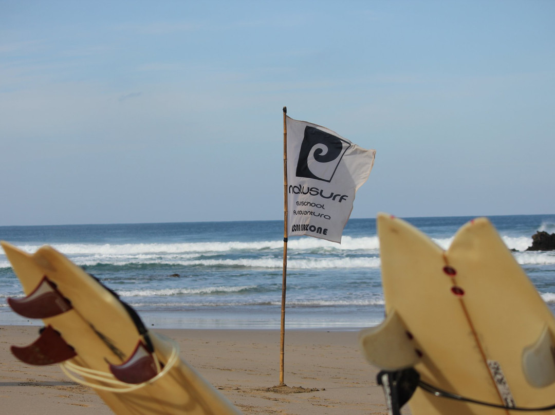 Nalusurf Surfschool景点图片