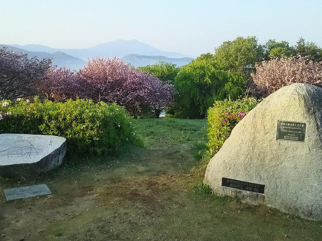 Oyama-ji Temple Tomiya Kannon-樱川市必去景点