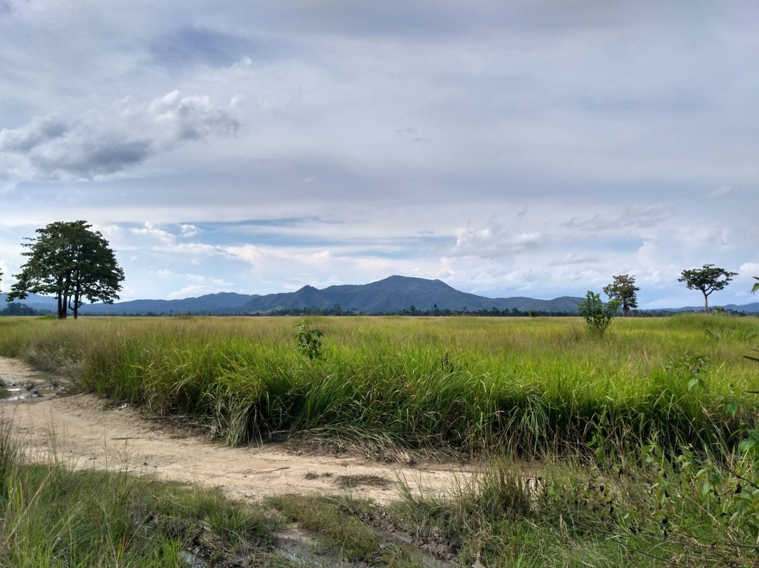 Taman Nasional Rawa Aopa Watumohai景点图片