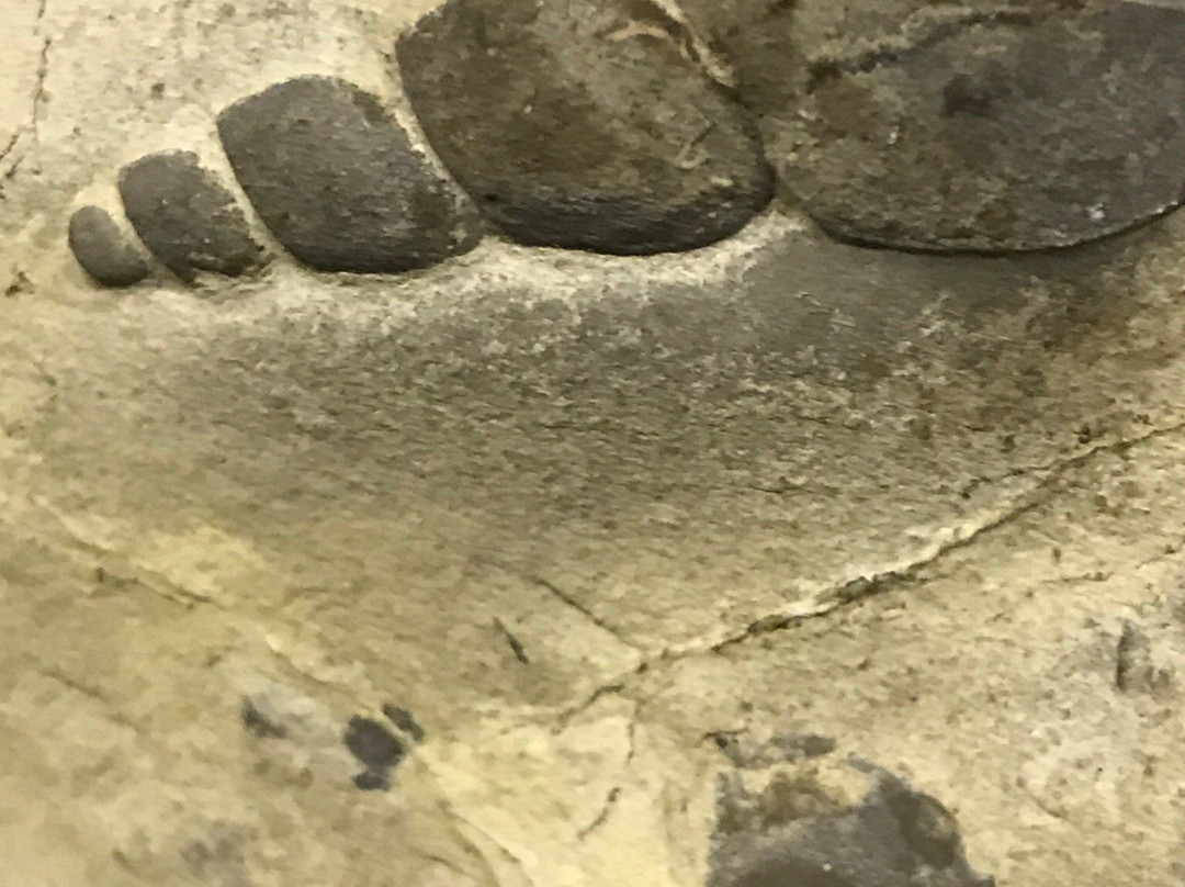 Museum Auberlehaus-Trossingen必去景点