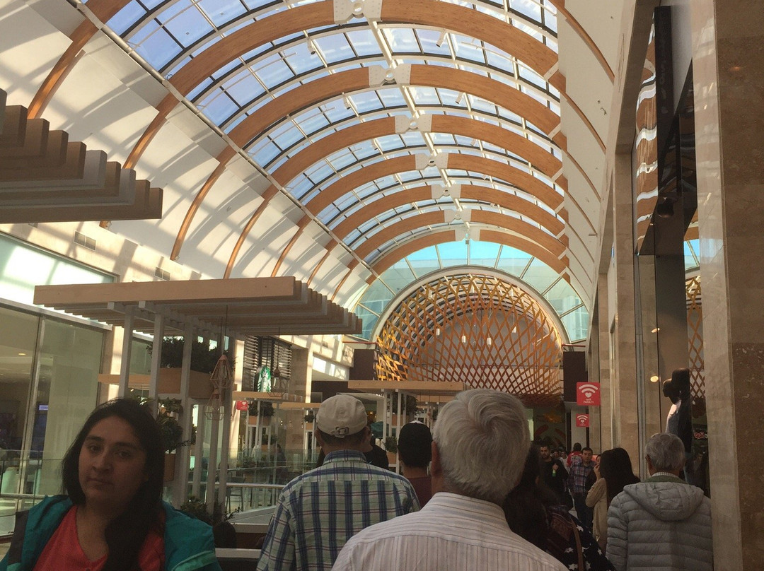 Mall Plaza Trebol-康塞普西翁必去景点