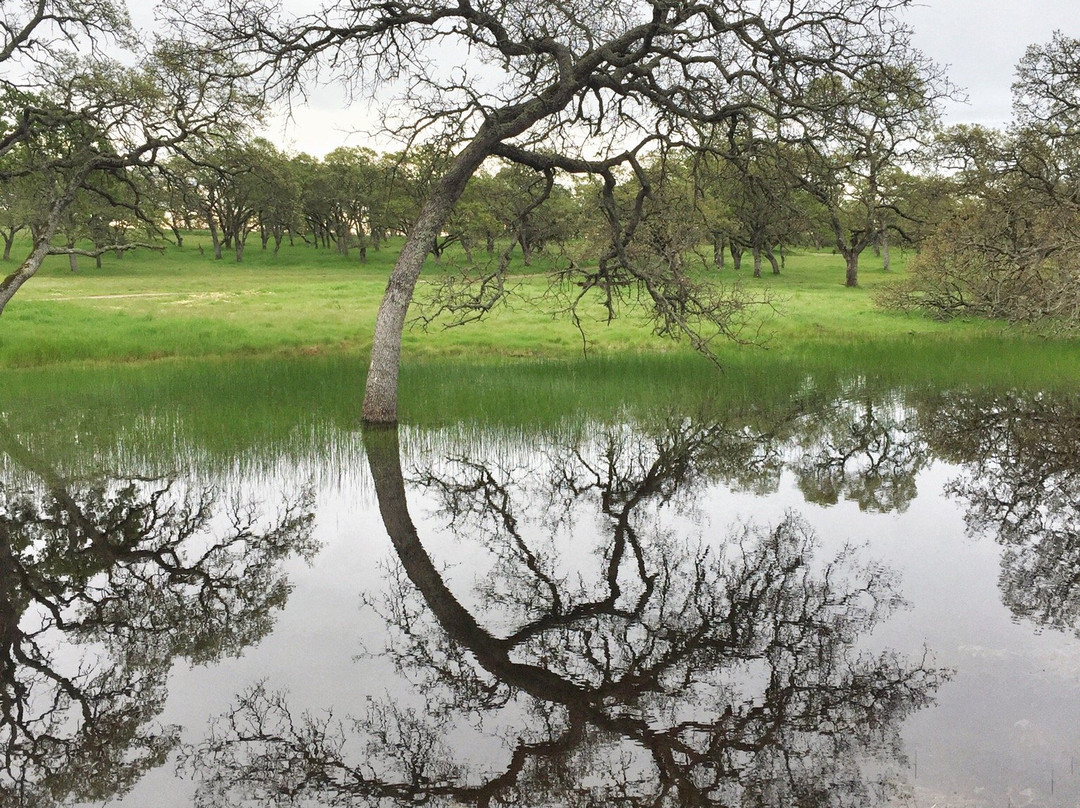 Rockville Hills Regional Park-费尔菲尔德必去景点