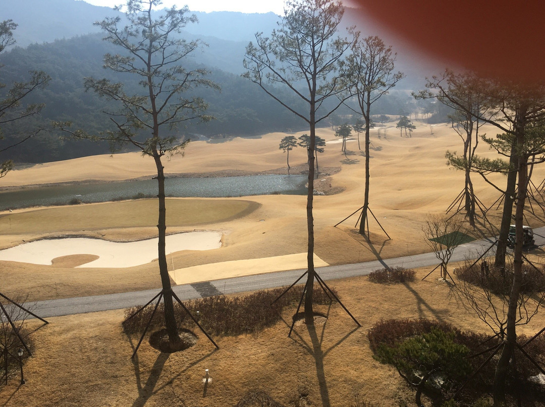 松树丘酒店
