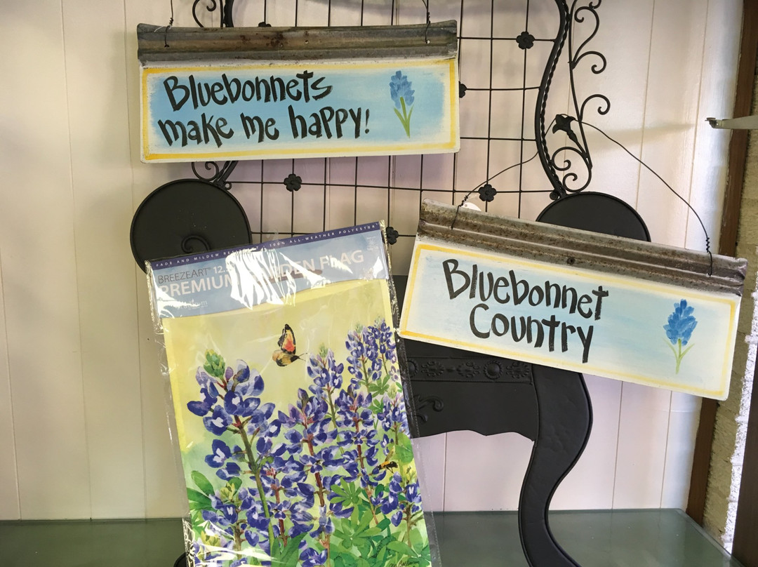 Felcman's Ladies Shop & Gifts-恩尼斯必去景点