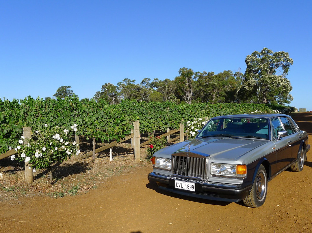 Esquire Classic Charters-巴瑟尔顿必去景点