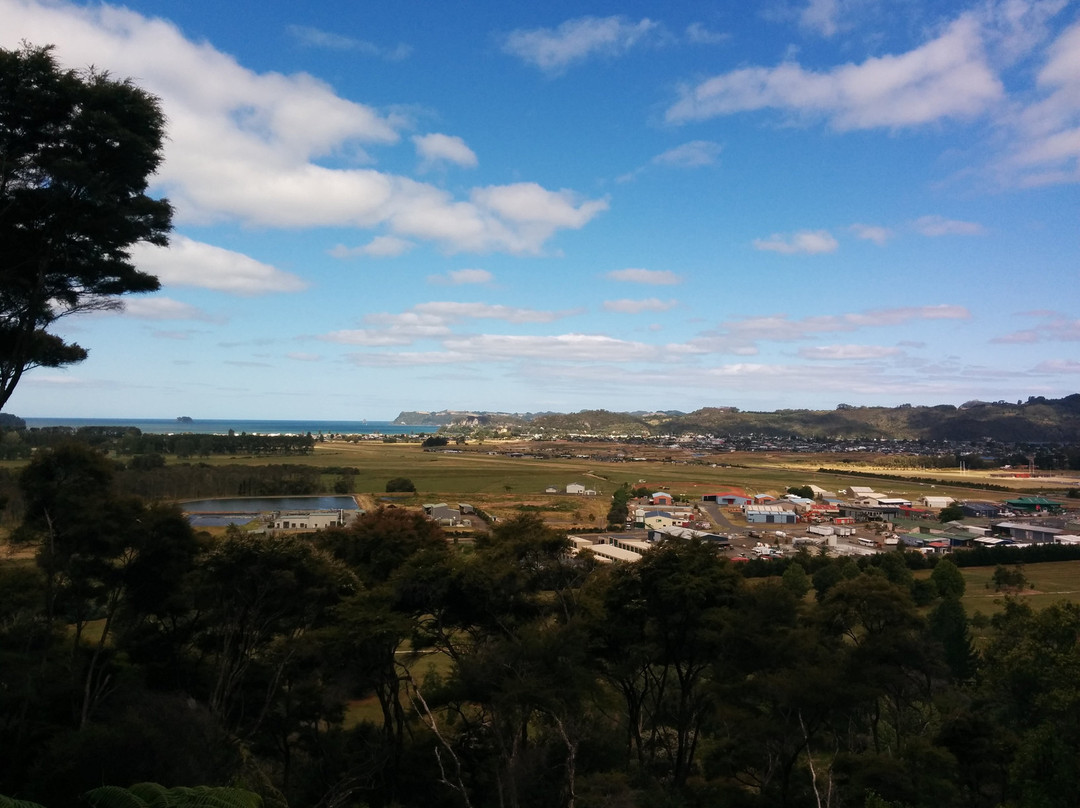 Whitianga Bike Park-菲蒂昂格必去景点