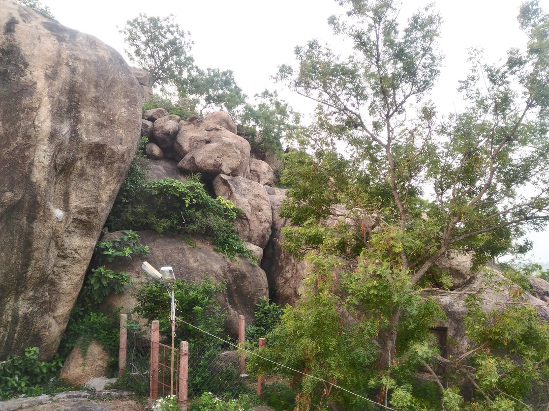 Vallam Hill Cave temple景点图片
