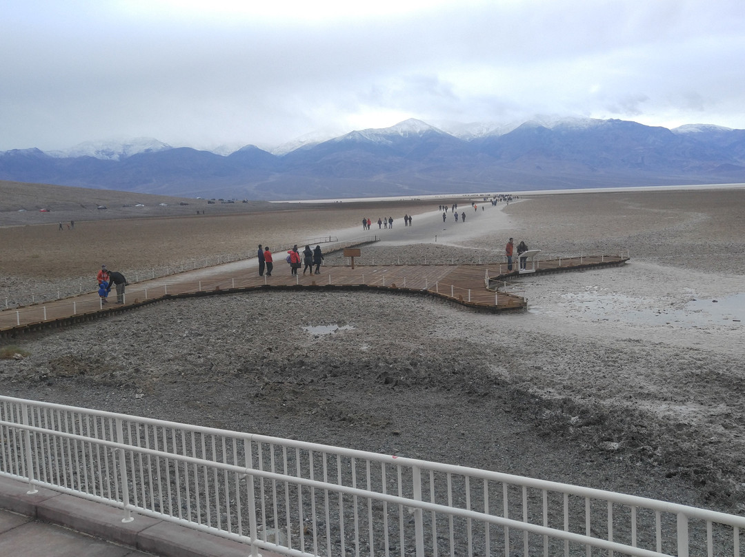 Ibex Dunes-Baker必去景点