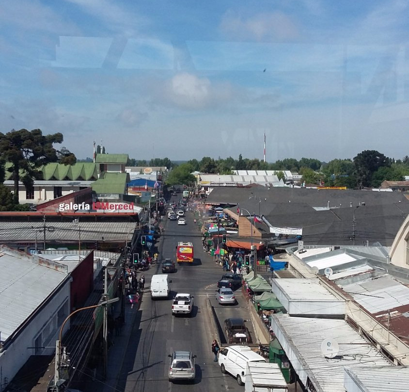 Arauco Chillan-奇廉必去景点