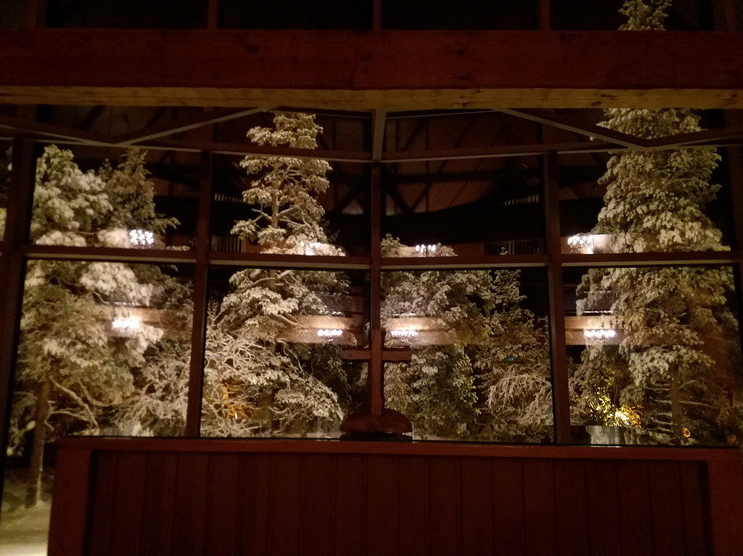 Saariselkä St Paulus Chapel-伊纳里必去景点