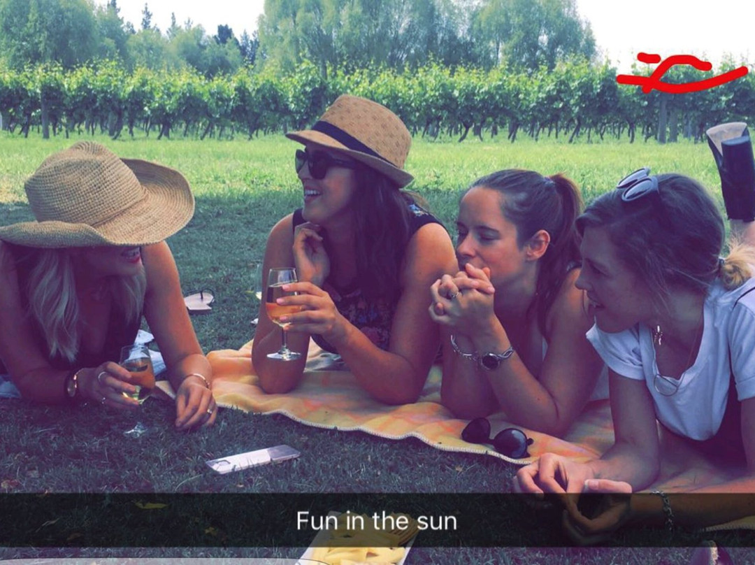 Waipara Private Wine Tour景点图片