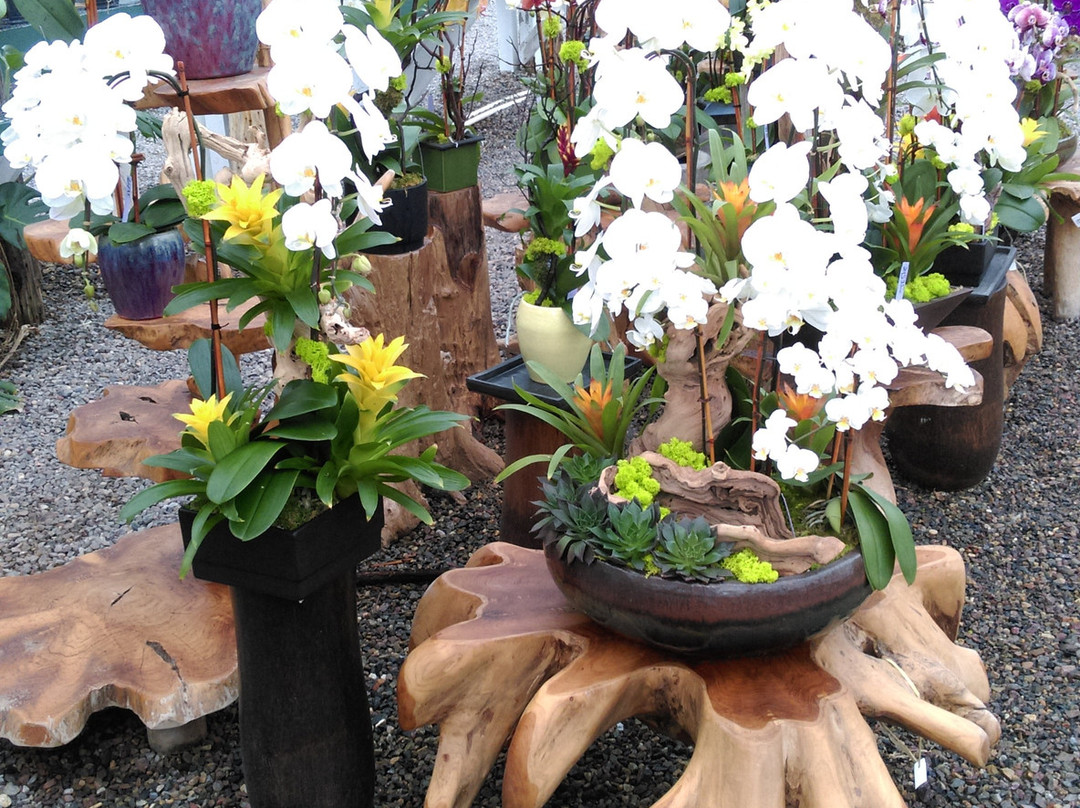 Cal Pacific Orchid Farm-恩西尼塔斯必去景点