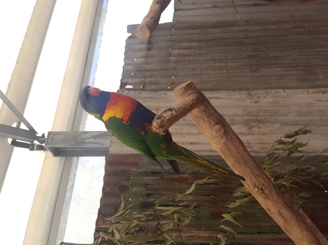 Libertino Travel - Private Tours-珀斯必去景点