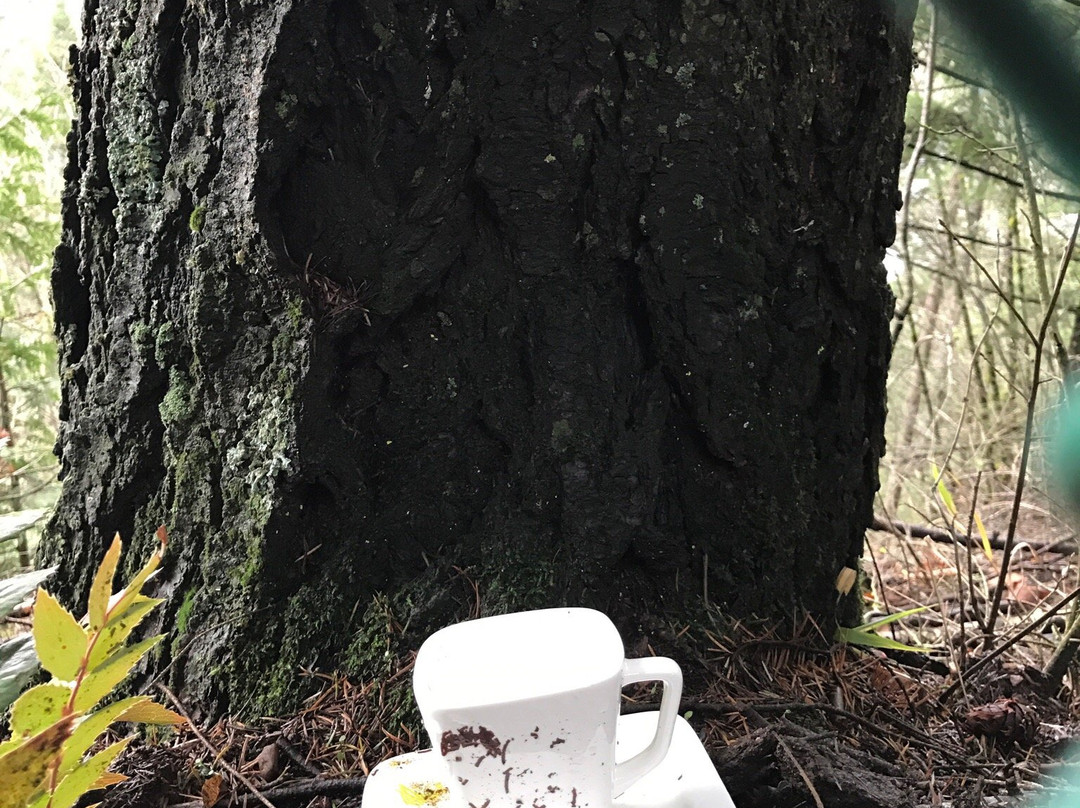 Teapot Hill Trail-Cultus Lake必去景点