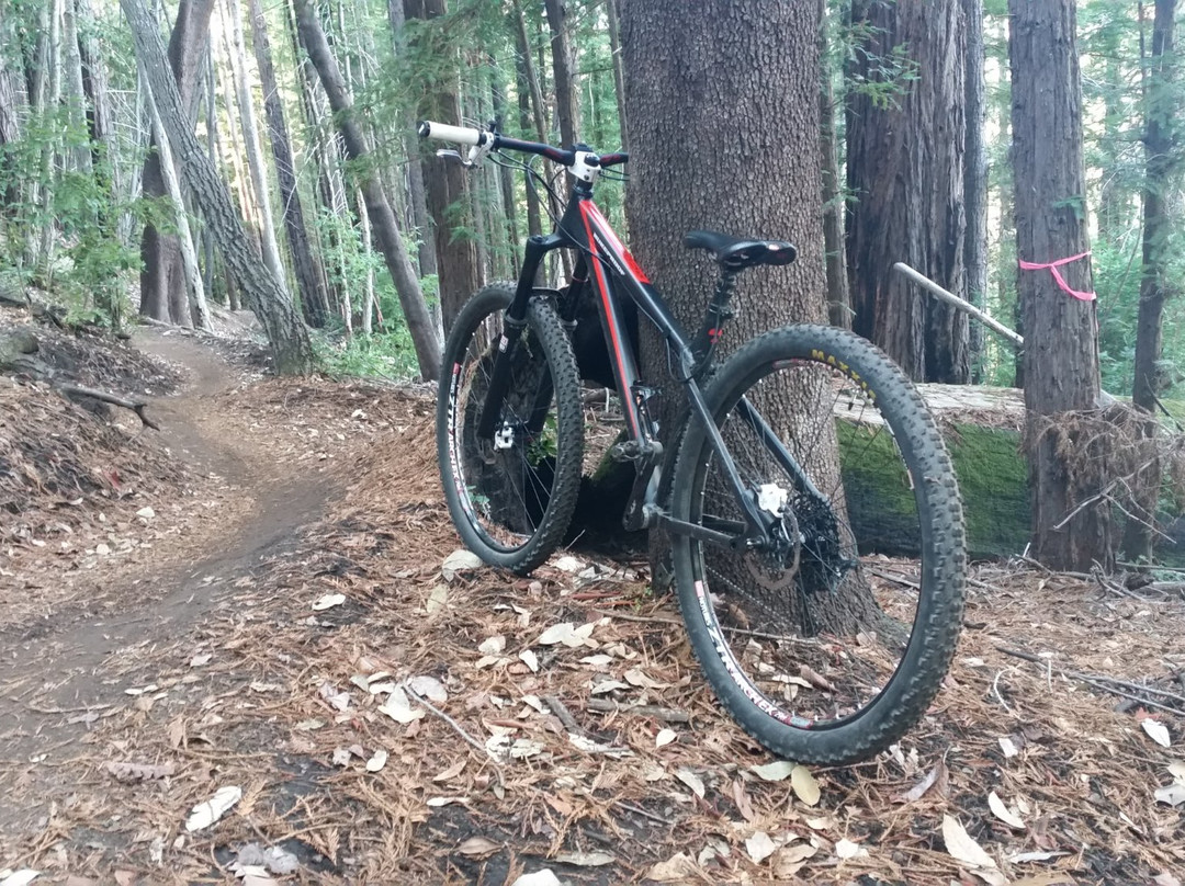 Cyclepath Outfitters-Soquel必去景点